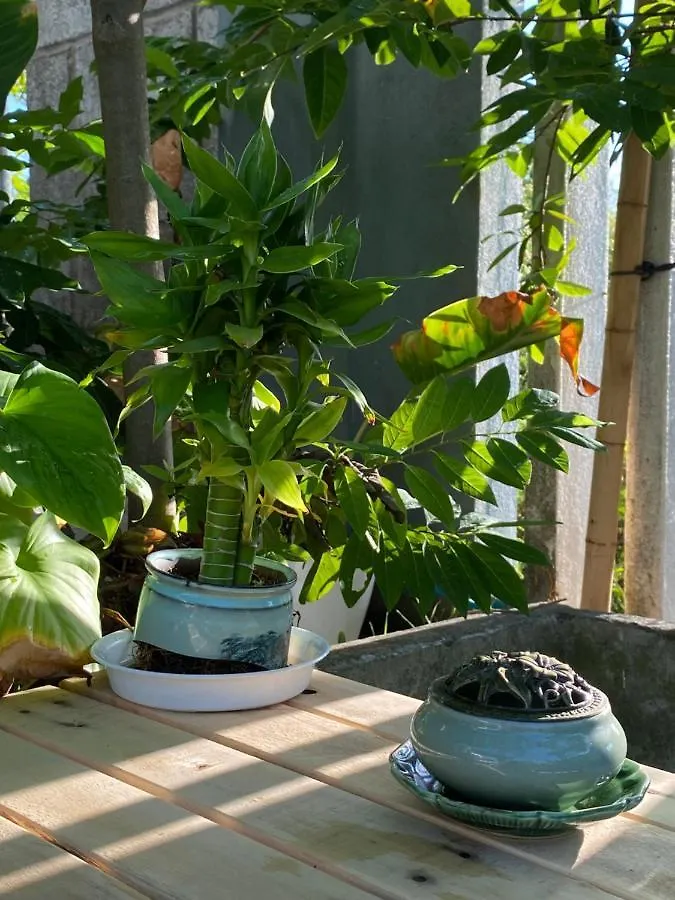 Laoxao Homestay Hoi An 0*,