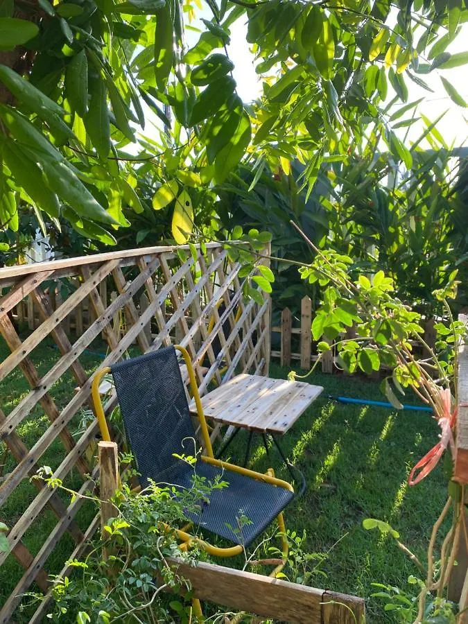 Laoxao Homestay Hoi An